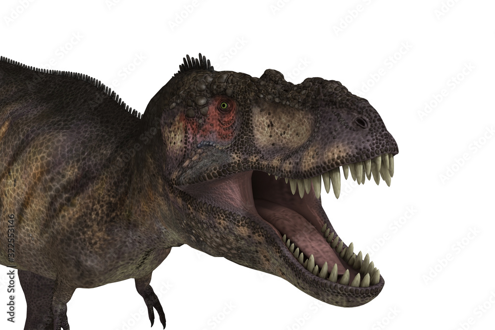Fototapeta premium Tiranosaurio Rex