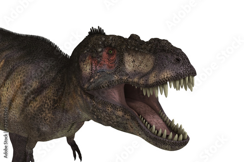 Tiranosaurio Rex photo