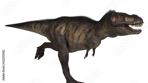 Tiranosaurio Rex © Naz