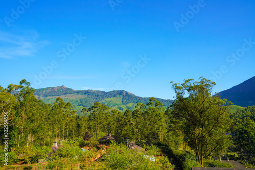 Famous  beautifut and ever green hill station  Munnar  in Kerala  South India