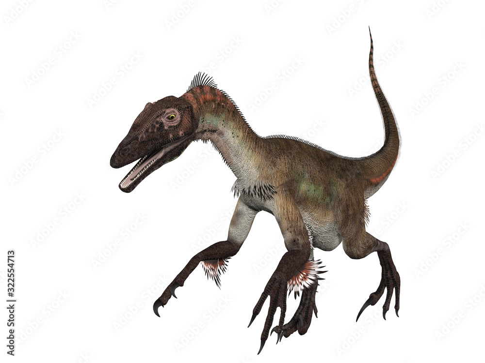 Fototapeta premium Velociraptor
