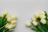 White tulips on white background. Valentines day, mothers day, 8 March or birthday celebration concept