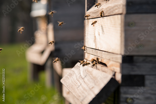 Beehive in the sunset
