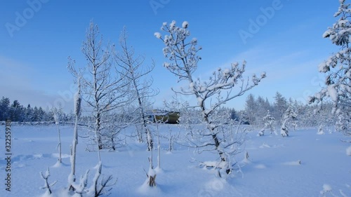 White forest covered with snow view from above. Winter forest aerial view.