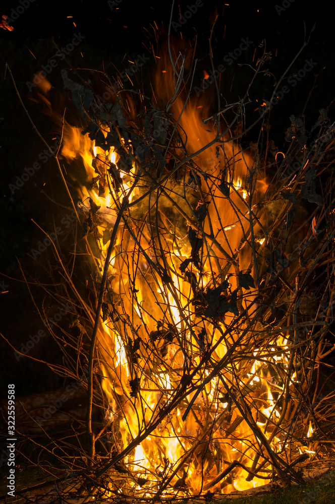 Fire flames on dark background Fire flames on dark background