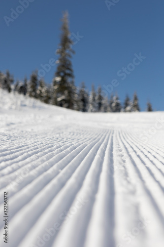 Fresh groomed snow on ski slope at ski resort on a sunny winter day. snow groomer tracks on a mountain ski piste. snowy spruces in the background © Lukasz