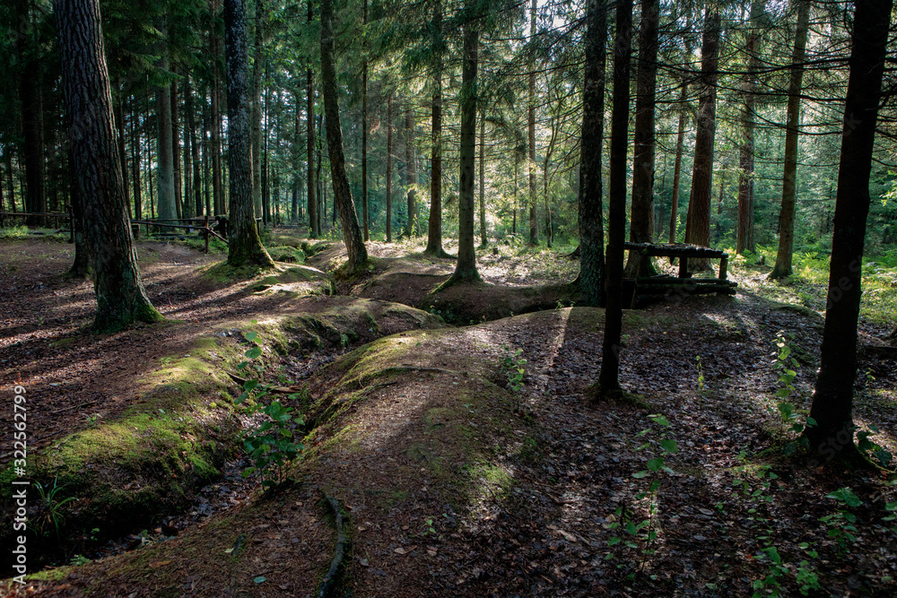 Partisan bunker in the woods in Panevezys district, Lithuania Partisan bunker in the woods in Panevezys district, Lithuania