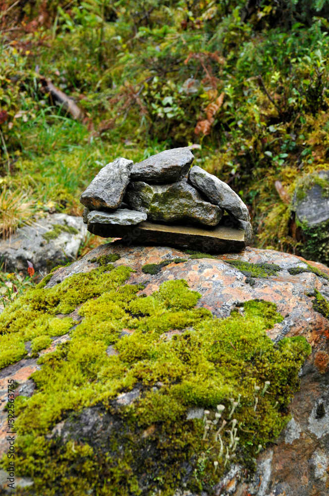 feuchte steine
