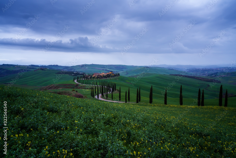 Amazing spring landscape with green rolling hills, cypresses and farm house in the heart of Tuscany after sunset