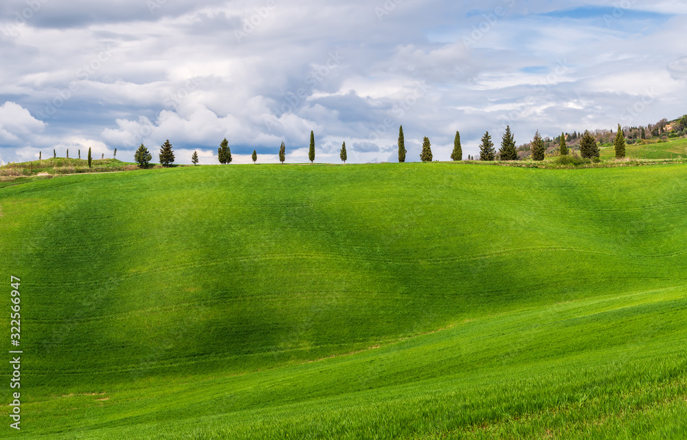 Amazing Tuscany landscape with green rolling hills in spring sunny morning