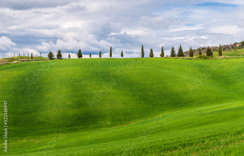 Amazing Tuscany landscape with green rolling hills in spring sunny morning