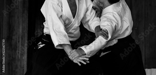 Schilderij op canvas 合気道の演武