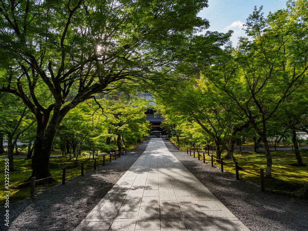 早朝の南禅寺