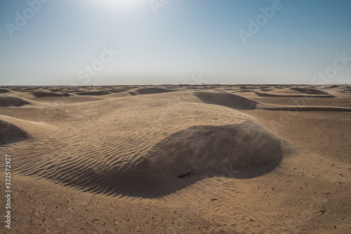 Sahara Desert
Wide plans for a great sunny space full of sand.