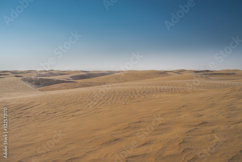 Sahara Desert Wide plans for a great sunny space full of sand.