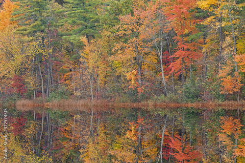 Slika na platnu Autumn landscape of Long Lake with mirrored reflections in calm water, Yankee Sp