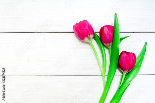 Bunch of red and purple tulips on white wooden background with copy space like postcard on womens day