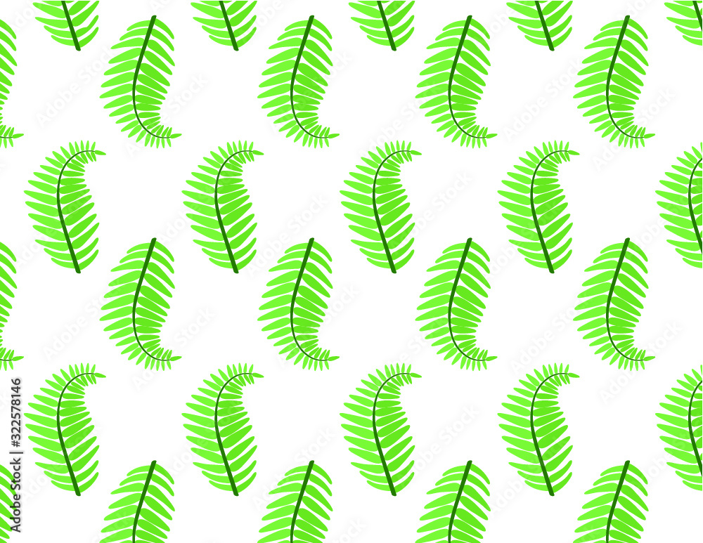 Vector pattern with leaf of fern on the white background