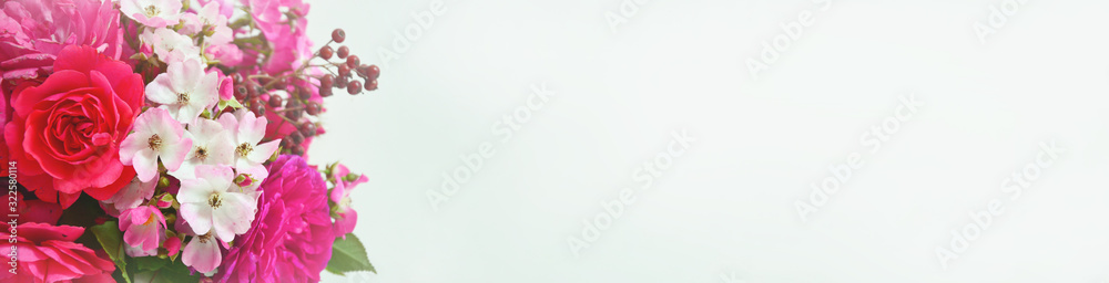 Pink roses on white background greeting card, banner Pink roses on white background greeting card, banner