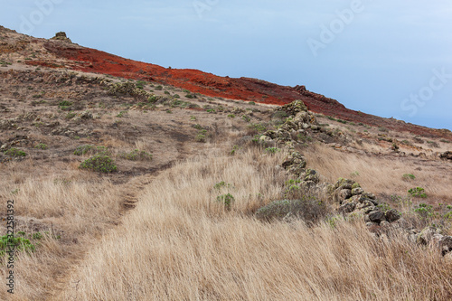 Footpath through fields of dry grass, stones and red heathlands on the slope of the mountain in Teno Country Park, Tenerife, Canary Islands, Spain