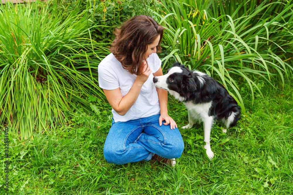 Smiling young attractive woman playing with cute puppy dog border collie in summer garden or city park outdoor background. Girl training trick with dog friend. Pet care and animals concept. Smiling young attractive woman playing with cute puppy dog border collie in summer garden or city park outdoor background. Girl training trick with dog friend. Pet care and animals concept.