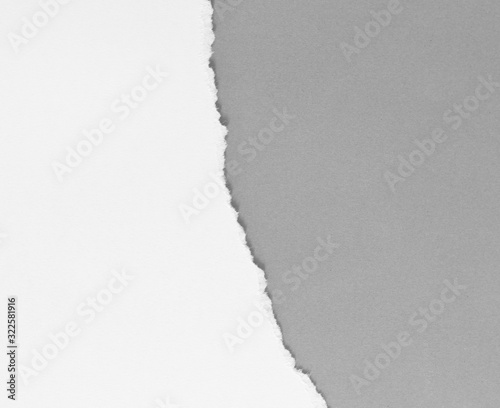 torn paper on gray background with copy space for text