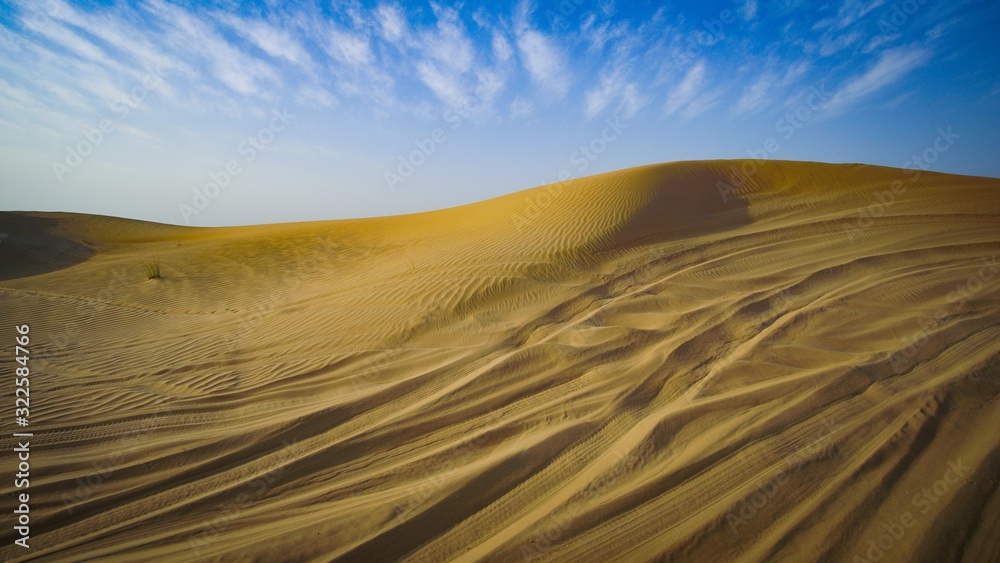 Fototapeta premium Sand Dunes