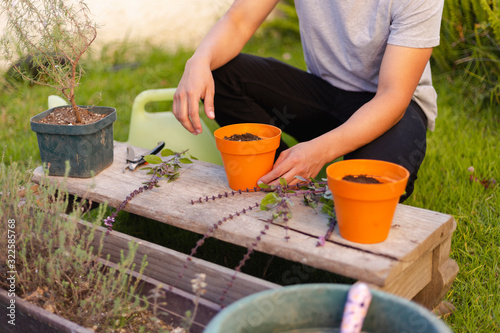Young man preparing gardening tools to work - young Hispanic man taking care of his organic edible plants in his garden - gardener with pots to sow basil