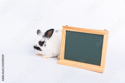 The adorable white rabbit with green wood board on white background. Education concept. © Jack