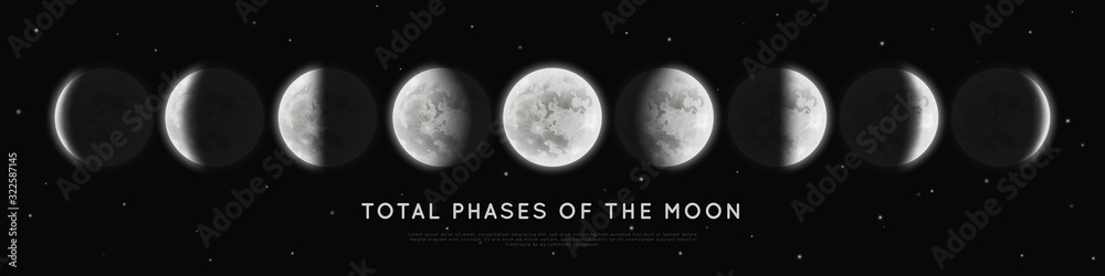 Realistic phases of the moon. Vector elements lunar collection. Moonlight - obrazy, fototapety, plakaty 