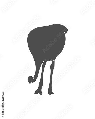 Ostrich logo vector, Animal graphic, Ostrich design Template illustration
