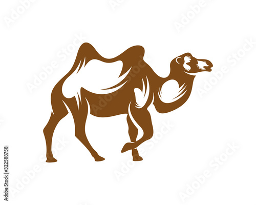 Camel logo vector, Animal graphic, Camel design Template illustration