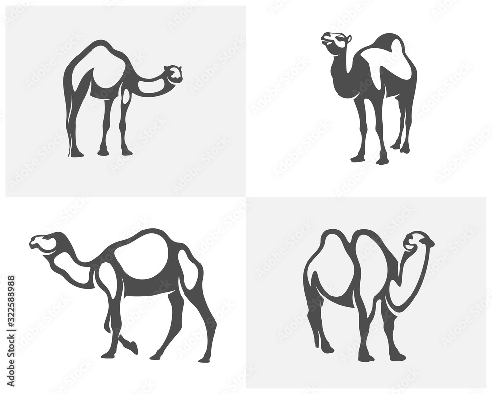 Set of Camel logo vector, Animal graphic, Camel design Template illustration