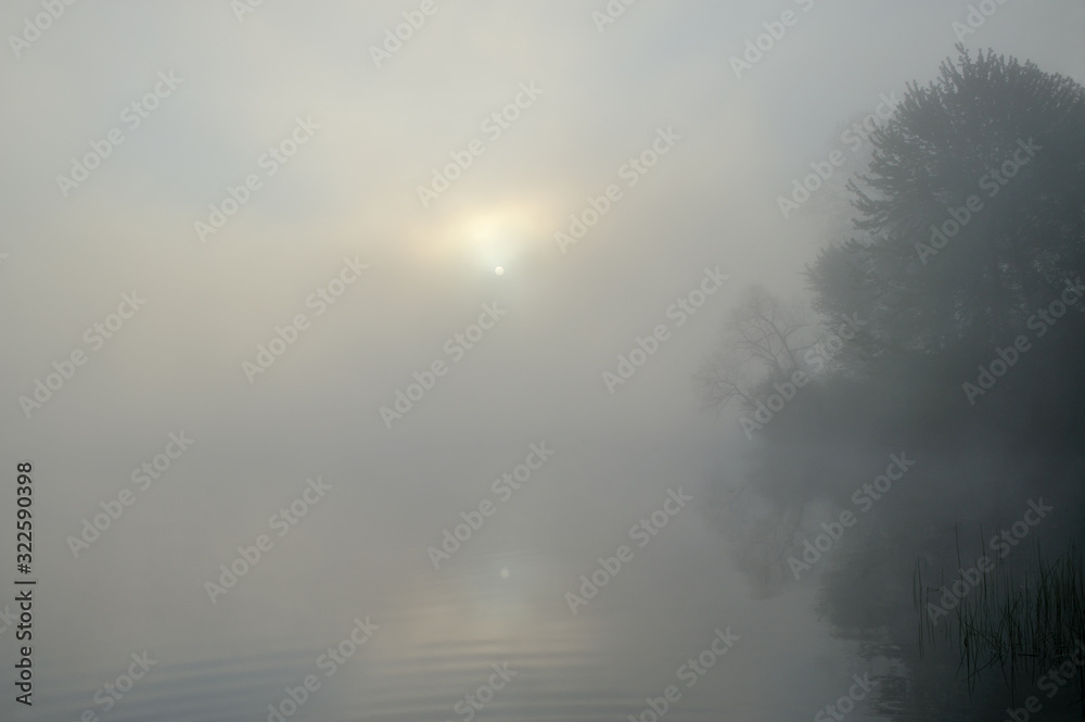 Foggy landscape at sunrise of Jackson Hole Lake, Fort Custer State Park, Michigan, USA