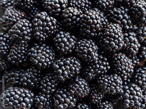 Fresh juicy organic dewberry. Food berry background of ripe blackberries