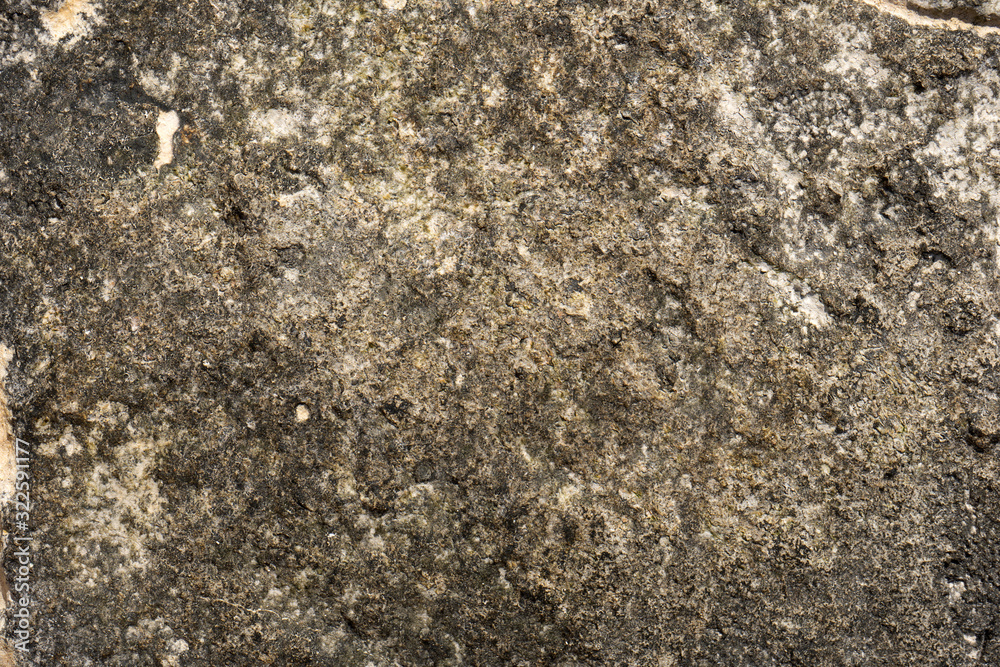 Rock texture and background at the beach Rock texture and background at the beach