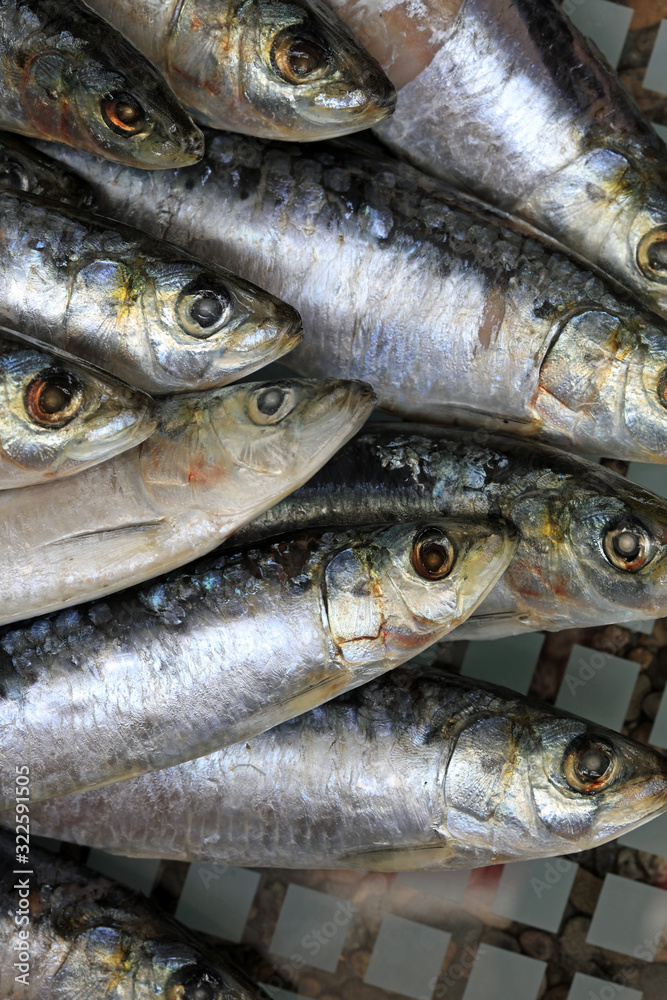 Sardinen Sardinen