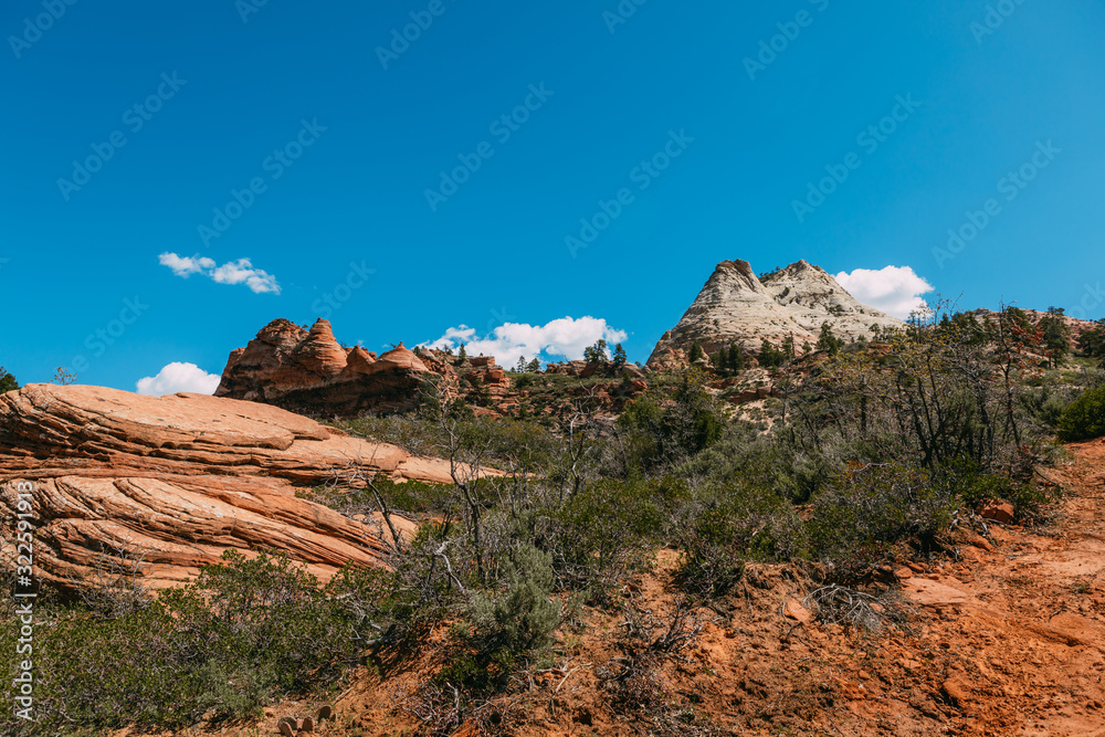 Nature landscape of Zion National Park, USA. This nature landscape is taken at Observation Point in Zion National Park. This nature landscape is also taken during the day. - Image