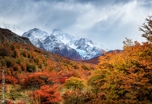 Glaciar Piedras Blancas in autumn red colored forest. Los Glaciares National Park. El Chalten. Patagonia. Argentina