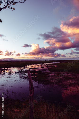 Amazing sunset in a rural area of the dominican republic. Colored sky  sun reflections in the water. Trees  barbed wire fences. Postcard perfection.