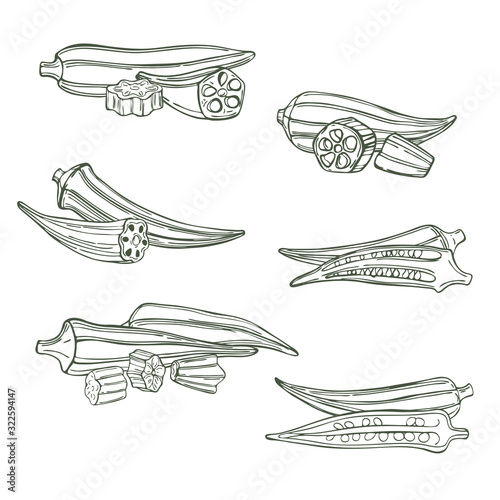 Hand drawn okra. Vector sketch illustration