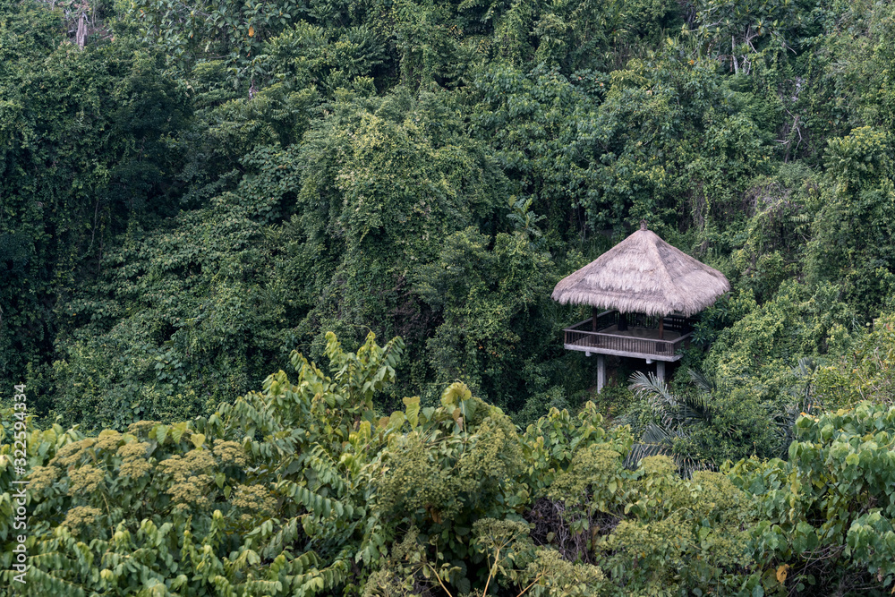 Wooden gazebo on beautiful jungle landscape in Ubud Wooden gazebo on beautiful jungle landscape in Ubud