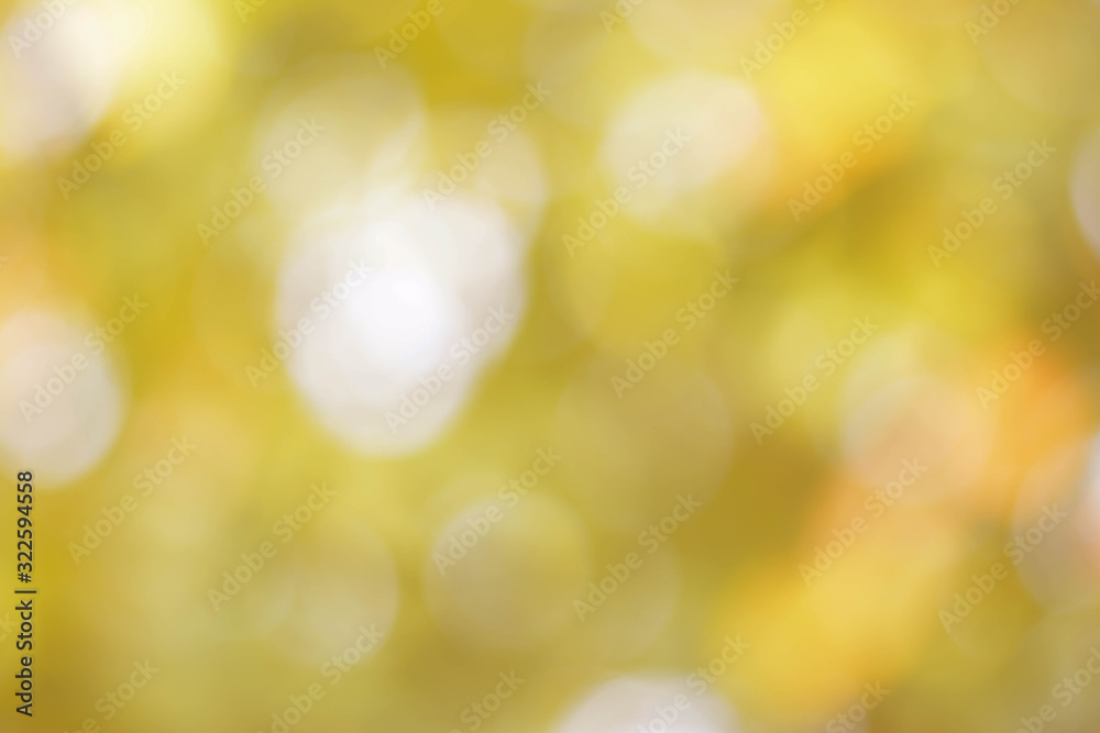 Obraz premium bokeh background from nature under tree shade