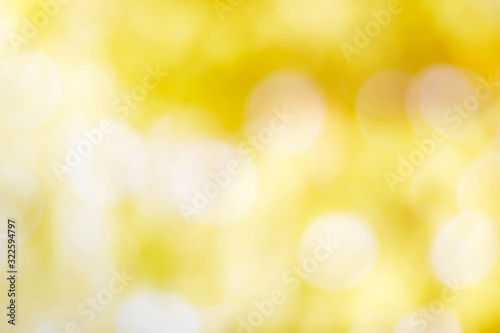 bokeh background from nature under tree shade