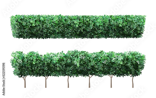 Realistic garden plant fence. Nature green seasonal bushes, tree crown bush foliage and green fence with cute flowers. Garden shrub vector illustration set. 3d public park and garden elements