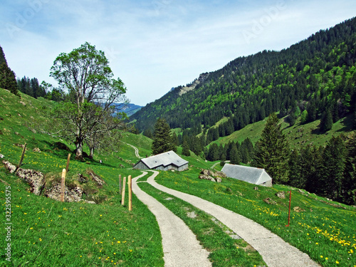 Ijental Alpine valley in the Obertoggenburg region and along the Ijentaler Bach stream, Nesslau - Canton of St. Gallen, Switzerland photo