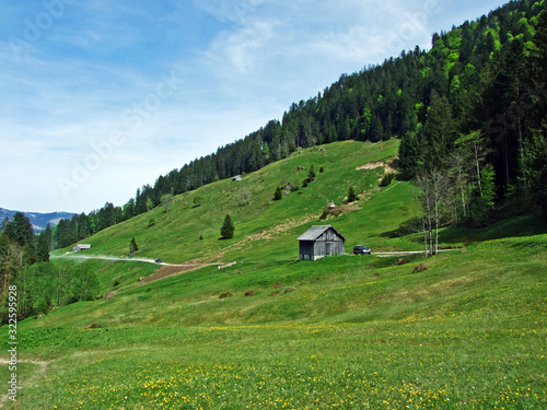 Ijental Alpine valley in the Obertoggenburg region and along the Ijentaler Bach stream, Nesslau - Canton of St. Gallen, Switzerland photo