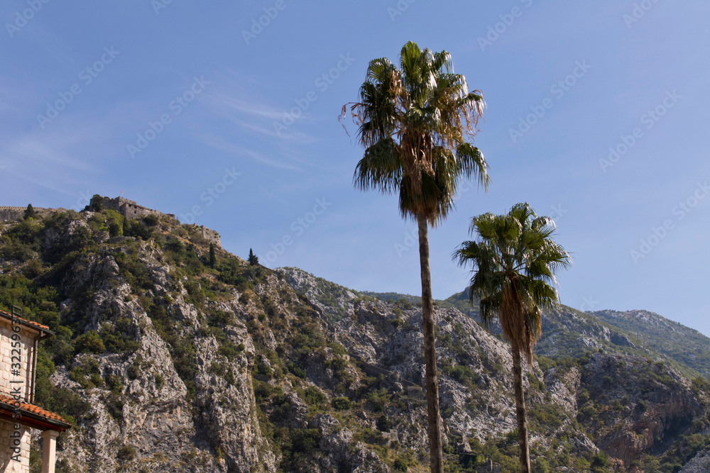 Fototapeta premium An old fortress on top of a mountain.