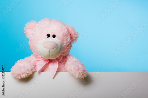 Fotografija Cute teddy bear pink on color background with copy space