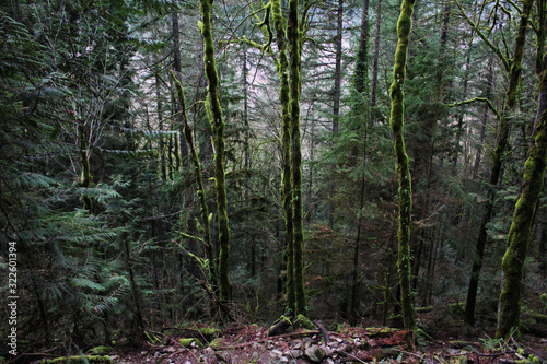 Hiking in Issaquah  WA